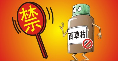 百草枯將被禁用！？滅生性除草劑市場(chǎng)進(jìn)入洗牌期，誰(shuí)能搶占先機(jī)？                   來(lái)源于  農(nóng)資與市場(chǎng)  王奕